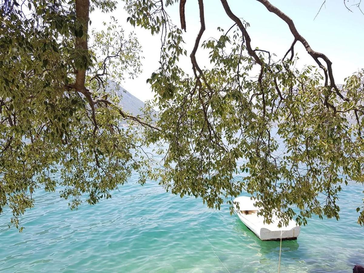 Montenegro Apartmant'S โกตอร์ ภายนอก รูปภาพ