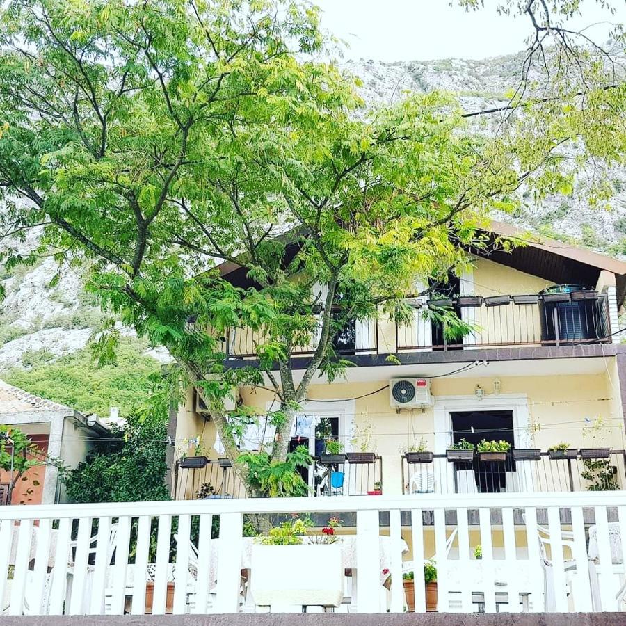 Montenegro Apartmant'S โกตอร์ ภายนอก รูปภาพ