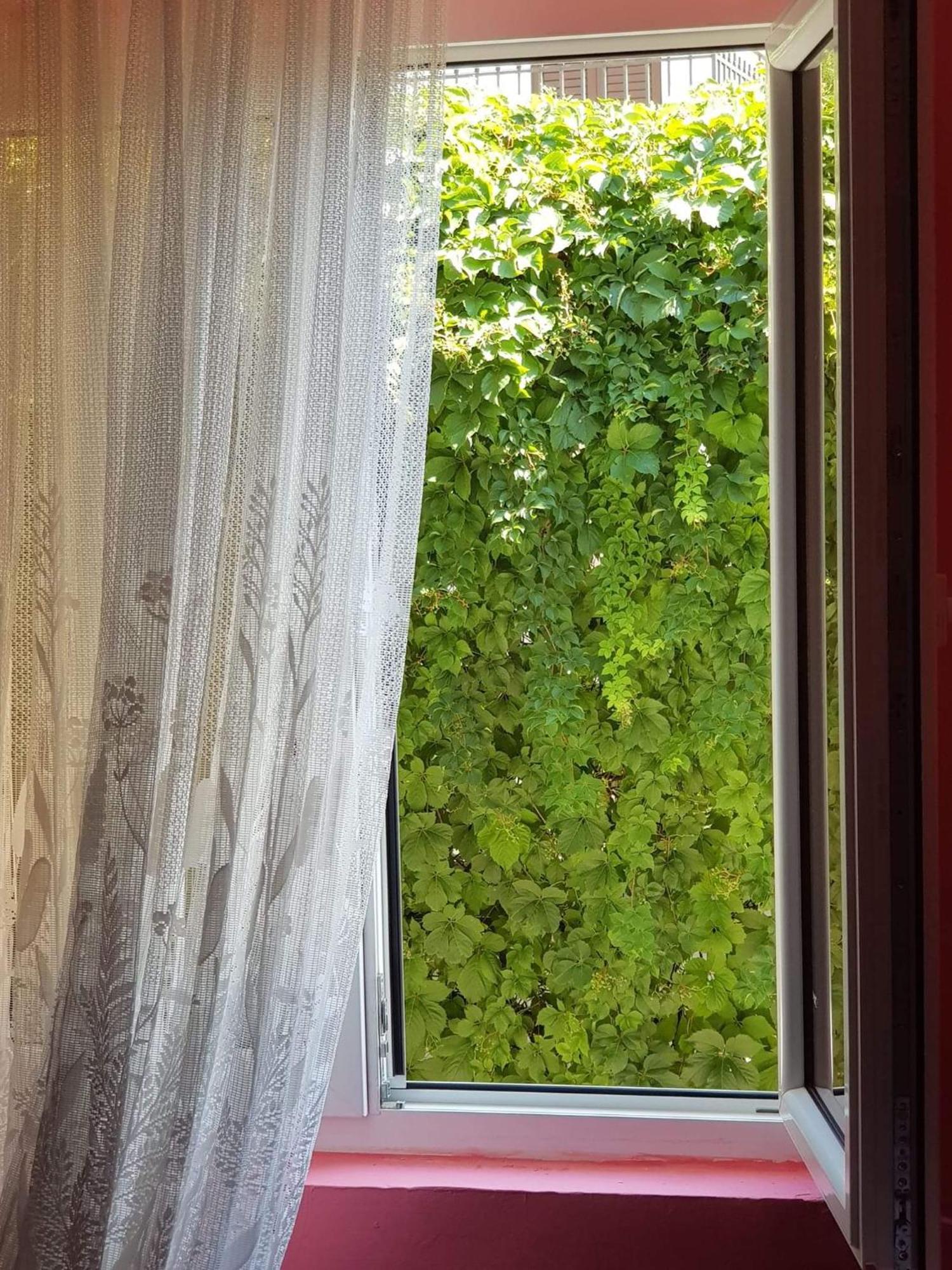 Montenegro Apartmant'S โกตอร์ ห้อง รูปภาพ